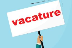 Image for Hulpverlener* ( M/V/X, deeltijds – 19 u)  voor het pilootproject drughulpverleningsprogramma voor personen in detentie  in de gevangenis van Leuven Centraal.